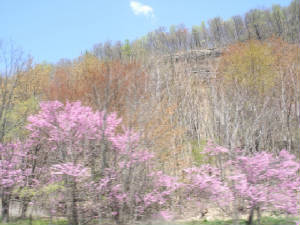 The Appalachian Mountains In Spring 2010 photo by Rainbow Princess.JPG