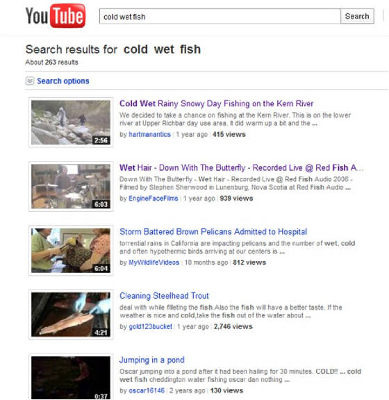 cold wet fish video
