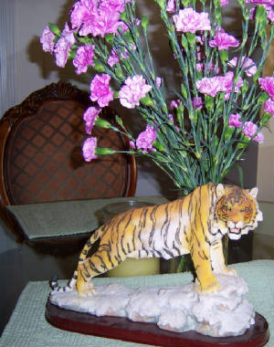 My Tiger - photo by Vanessa